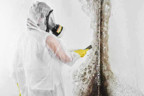 Water damage restoration process